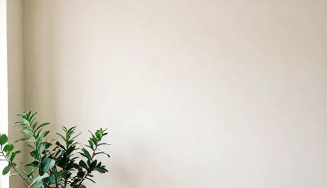 婚前造型设计：定制化与标准化的取舍与影响